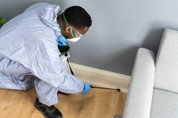 Emergency Pest Control Services in Laton, CA